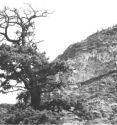 WhiteBluff in Bridge River Canyon