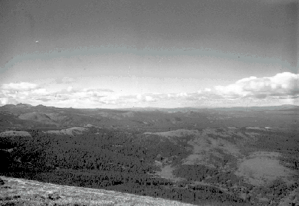 BC Archives # I-64490, Survey photograph is Tyaughton Creek area