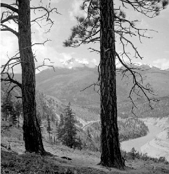 BC Archives # D-02631, view from Skihist Prov Park near Lytton, 1954