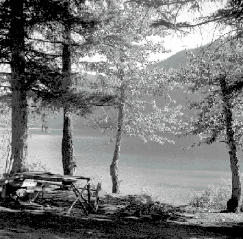 BC Archives # NA-12024, picnic site at Pavilion Lake