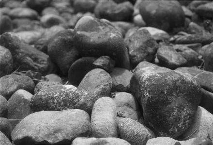Chinese washed-rock piles left over from placer operations, Lillooet, M. Cleven photo