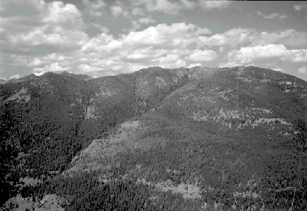 BC Archives # I-64482, Survey photograph of Tyaughton Cr