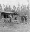 cabin in woods w horse